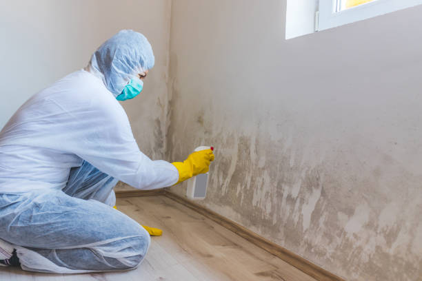 Mold Remediation specialist working in Millwood